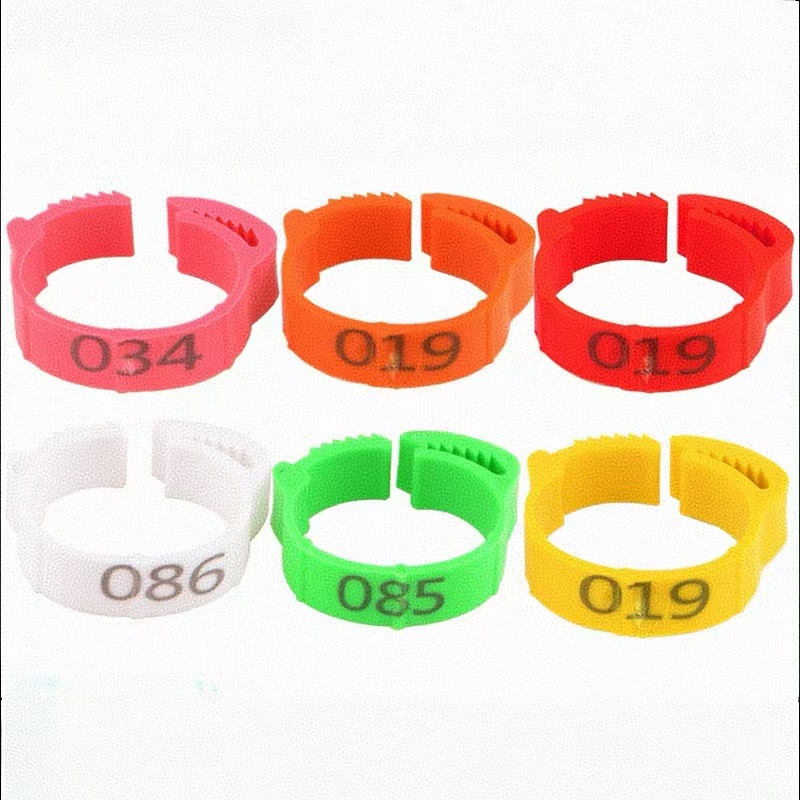 Photography Duck - 100 Uds anillo para pie de