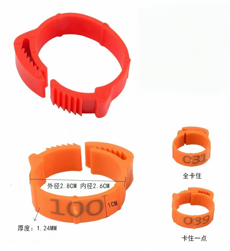 100 Uds anillo para pie de pol - Photography Duck reseña y precio
