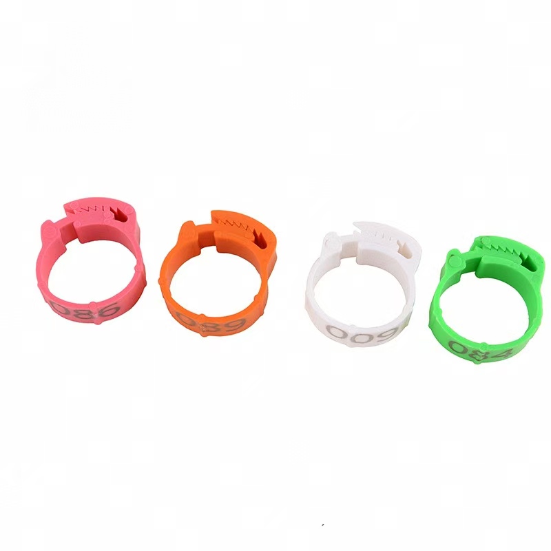 100 Uds anillo para pie de pol - Photography Duck reseña y precio