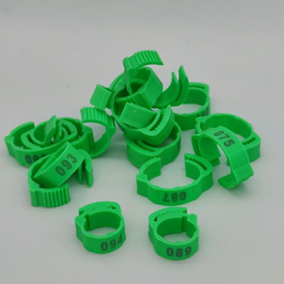 100 Uds anillo para pie de pol - Photography Duck reseña y precio