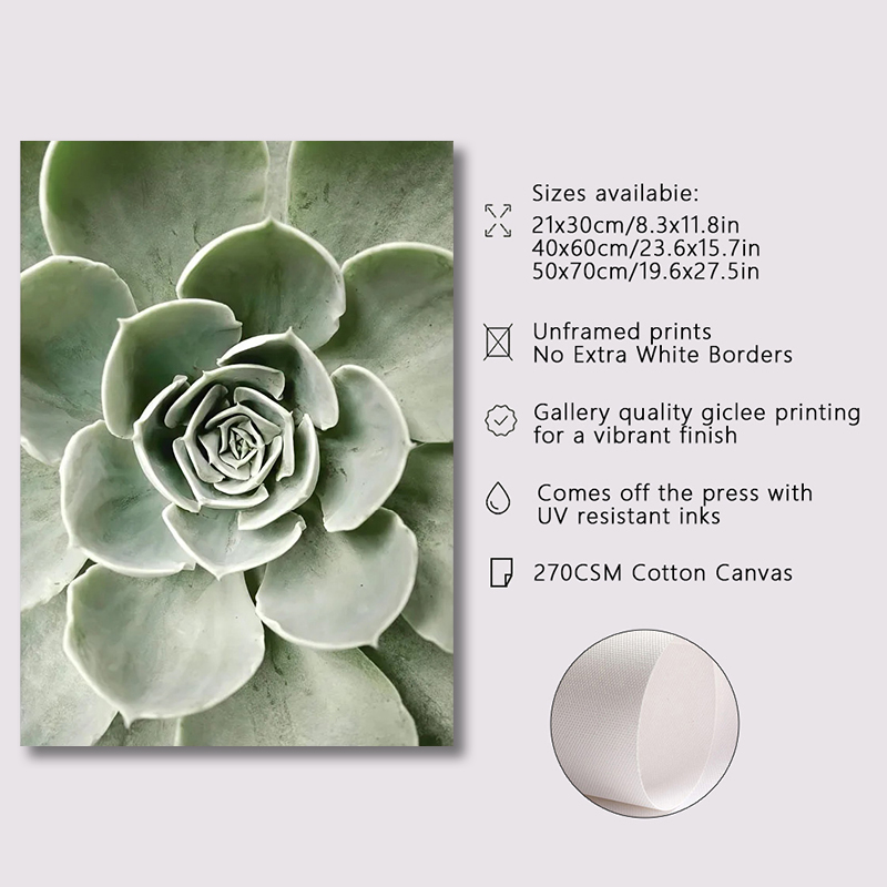 Pintura en lienzo sin marco, a - Photography Angle reseña y precio